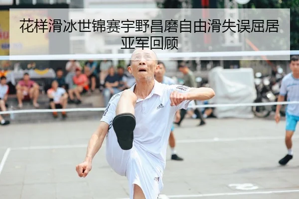 hua-yang-hua-bing-shi-jin-sai-yu-ye-chang-mo-zi-you-hua-shi-wu-qu-ju-ya-jun-hui-gu-3-100.jpg