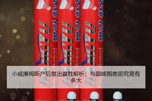 xiao-wei-lian-mu-si-chan-hou-fu-chu-shou-sheng-jie-xi-yu-dian-feng-qi-cha-ju-jiu-jing-you-duo-da-2-557.jpg