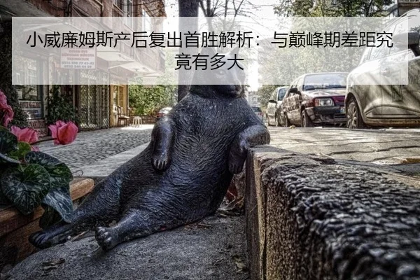 小威廉姆斯产后复出首胜解析：与巅峰期差距究竟有多大